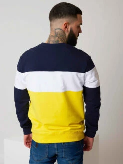 Sweat à Empiècements Tricolores